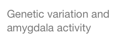 Genetic variation and amygdala activity