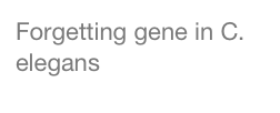 Forgetting gene in C. elegans